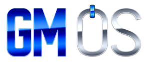 GMOS - Management Operating System for IT Executives